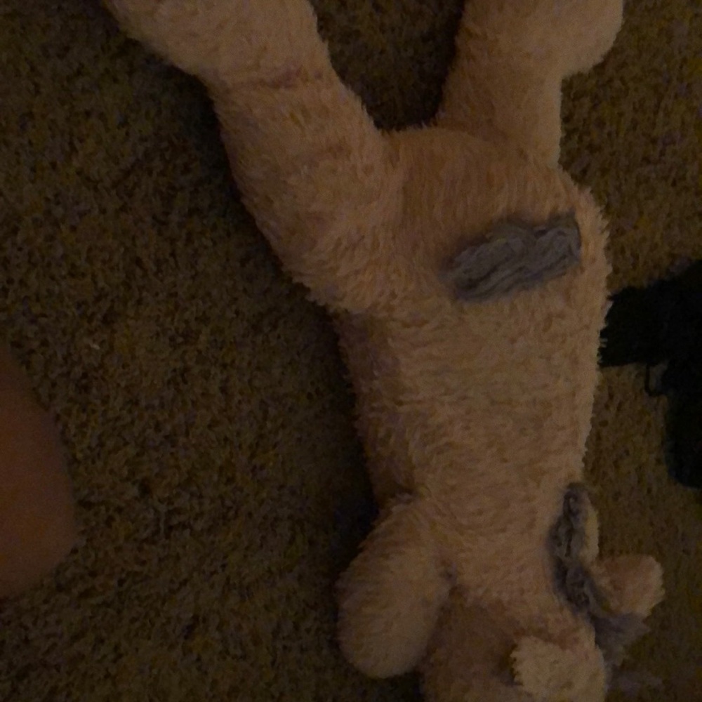 Pink stuffed animal